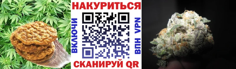 Canna-Cookies конопля  даркнет состав  Вязники  купить наркотики сайты 