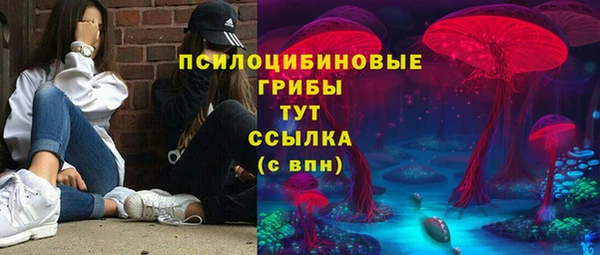 амфетамин Белокуриха