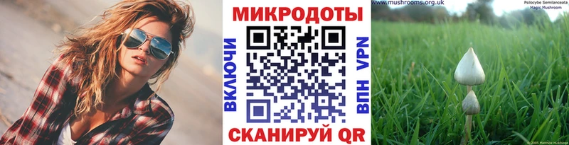 Псилоцибиновые грибы мухоморы  Вязники 