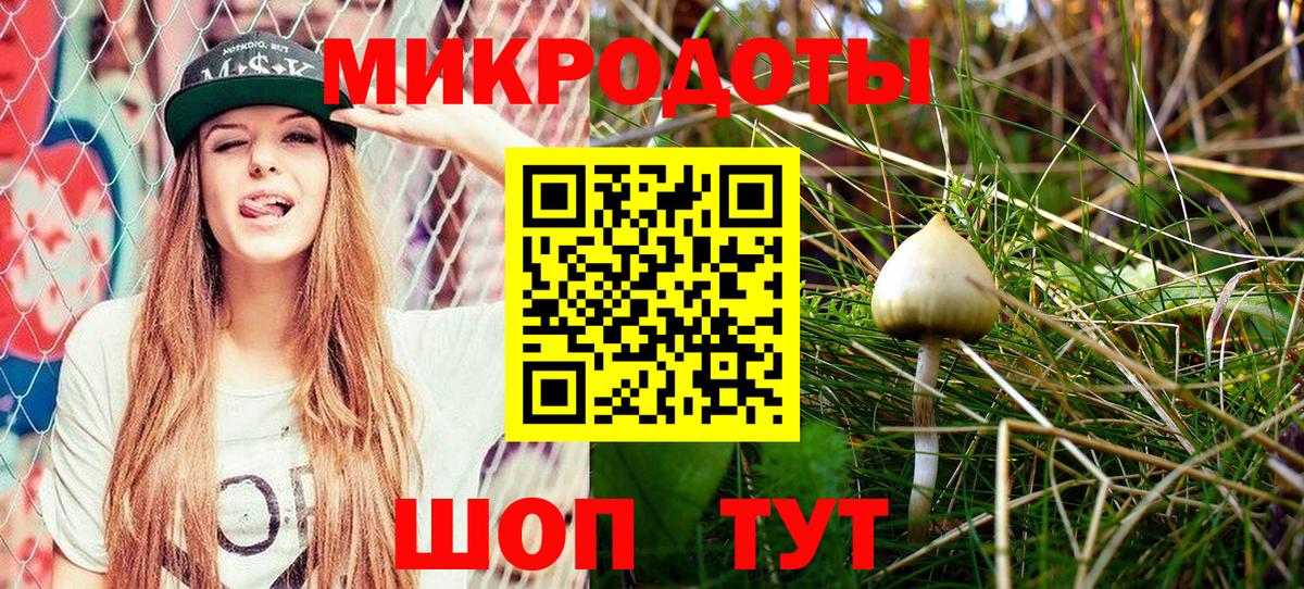 Вязники  Галлюциногенные грибы Cubensis  купить  сайты  Вход с VPN 