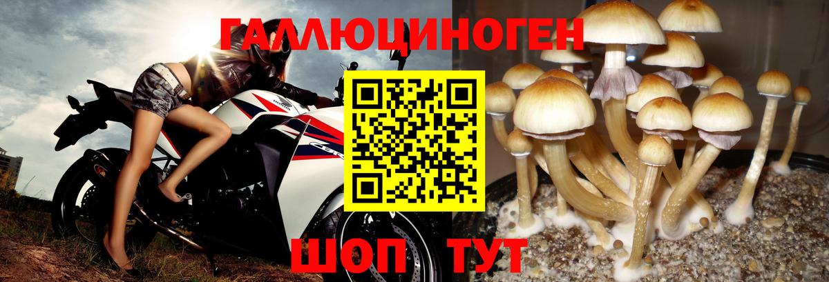 Псилоцибиновые грибы ЛСД Вязники