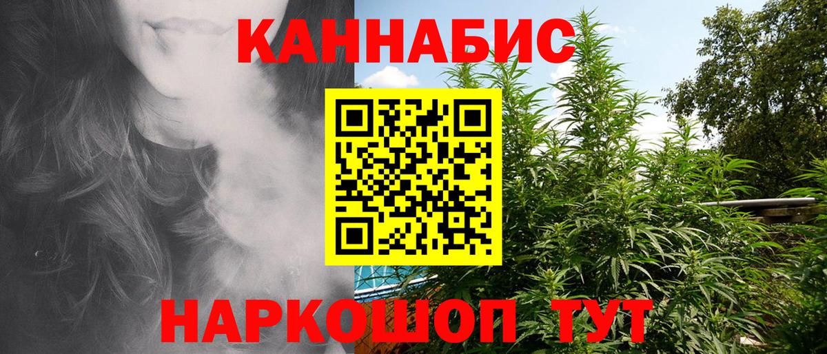 Бошки марихуана сатива Вязники