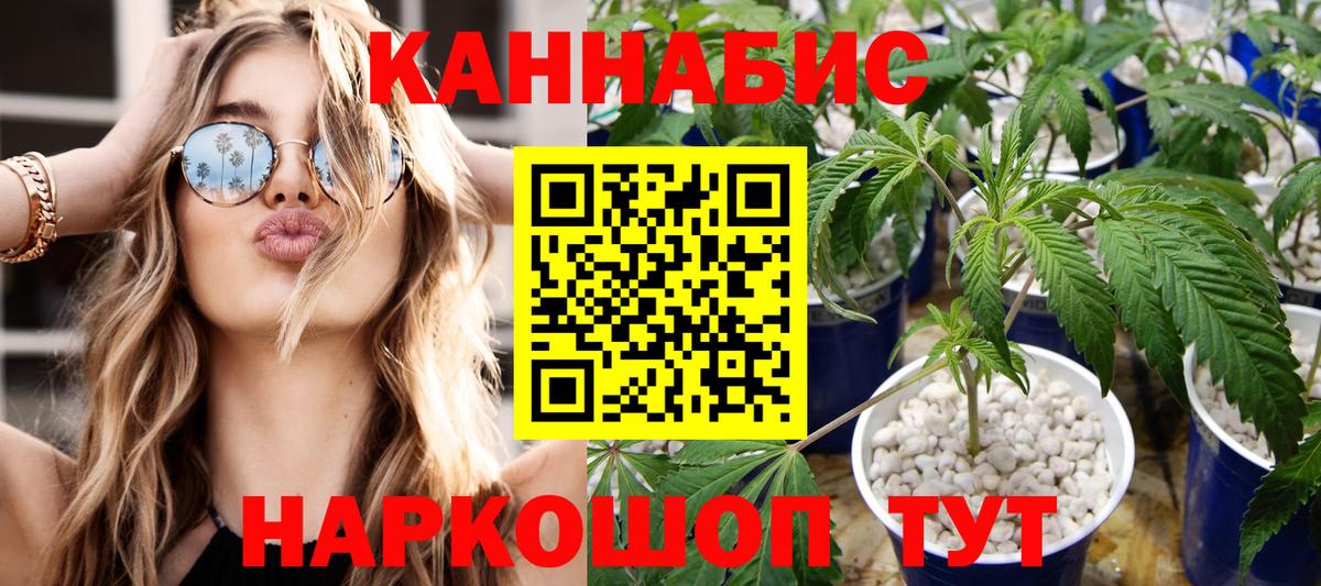 Шишки марихуана AK-47  МАРИХУАНА SATIVA & INDICA  МАРИХУАНА OG Kush  Вязники  Вход с VPN 